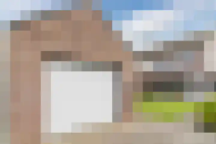 Balisboom 11 Lierop thumbnail 58
