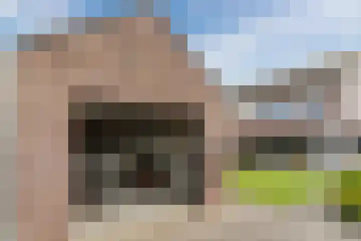 Balisboom 11 Lierop thumbnail 59