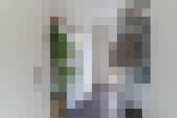 Balisboom 11 Lierop thumbnail 6