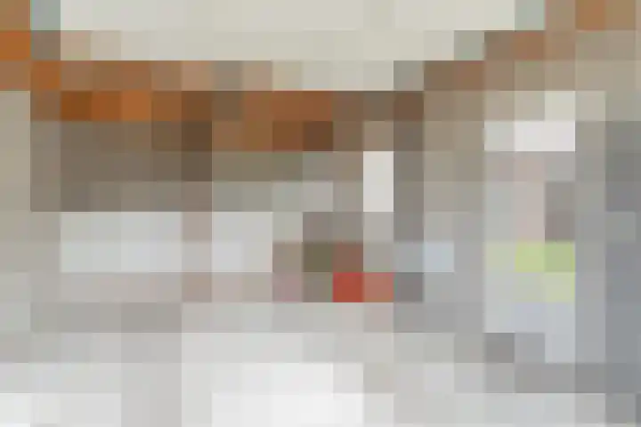 Balisboom 11 Lierop thumbnail 60
