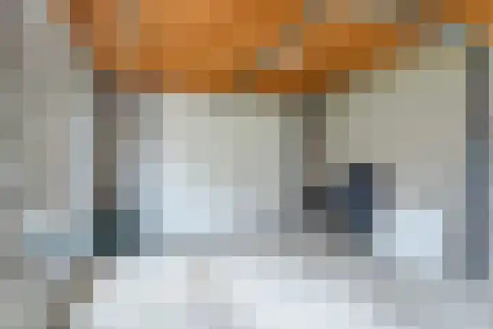 Balisboom 11 Lierop thumbnail 61
