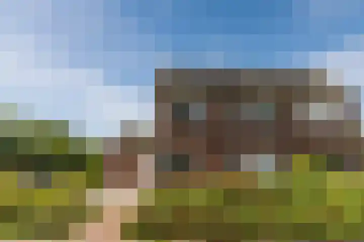 Balisboom 11 Lierop thumbnail 62