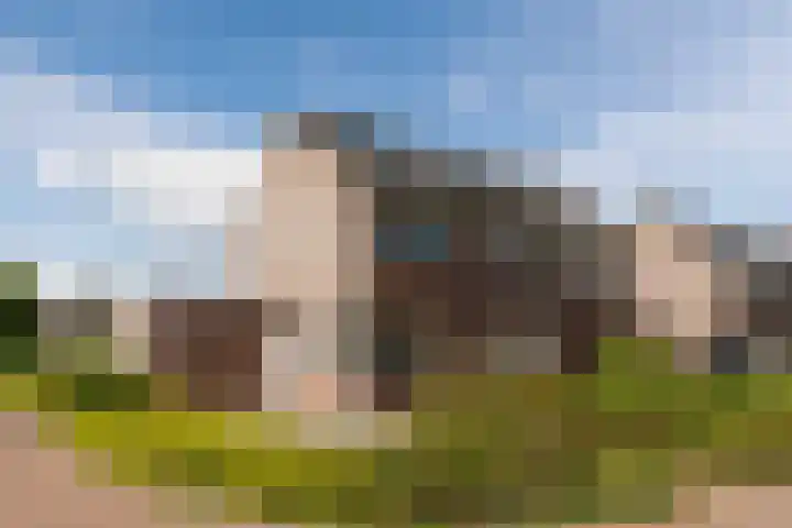 Balisboom 11 Lierop thumbnail 63