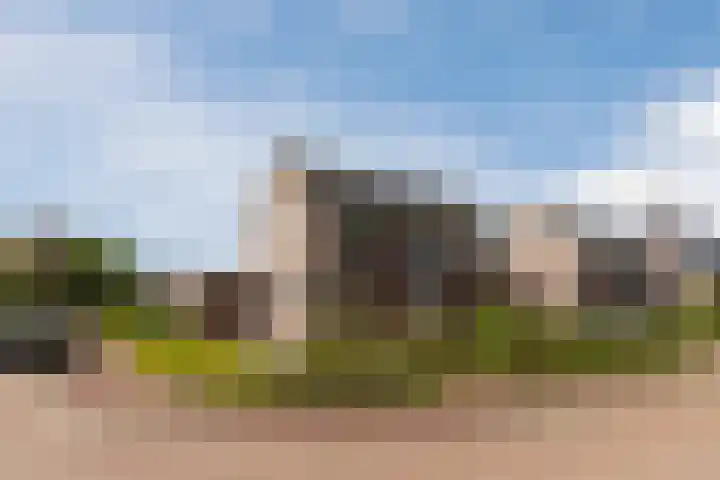 Balisboom 11 Lierop thumbnail 64