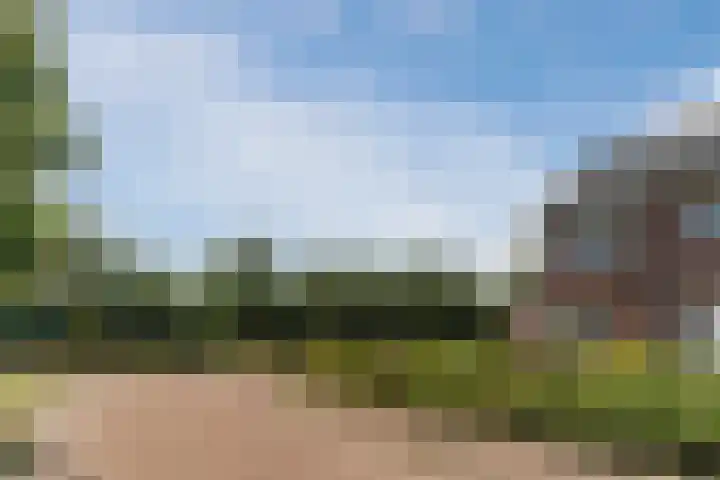Balisboom 11 Lierop thumbnail 65