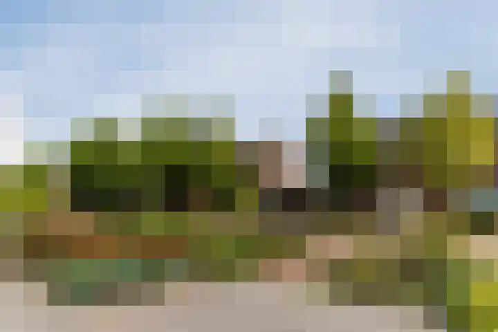 Balisboom 11 Lierop thumbnail 66