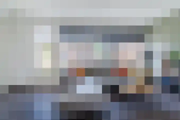 Balisboom 11 Lierop thumbnail 8