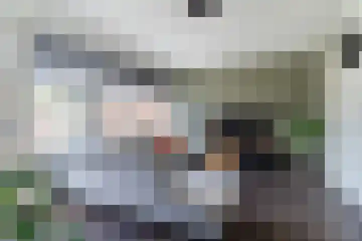 Balisboom 11 Lierop thumbnail 9