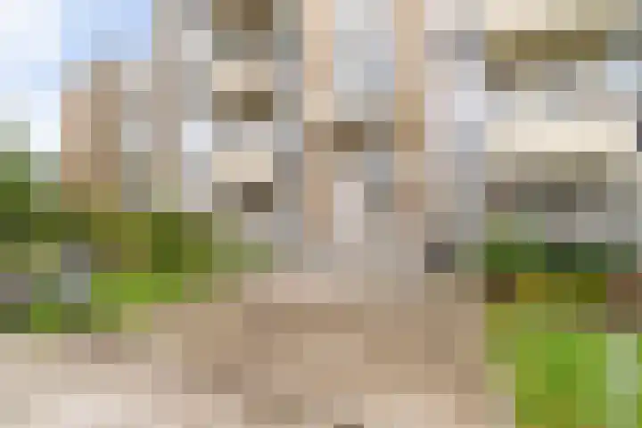 Balistraat 1 Delft thumbnail 6