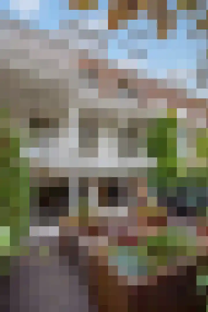 Balistraat 100 Den Haag thumbnail 76