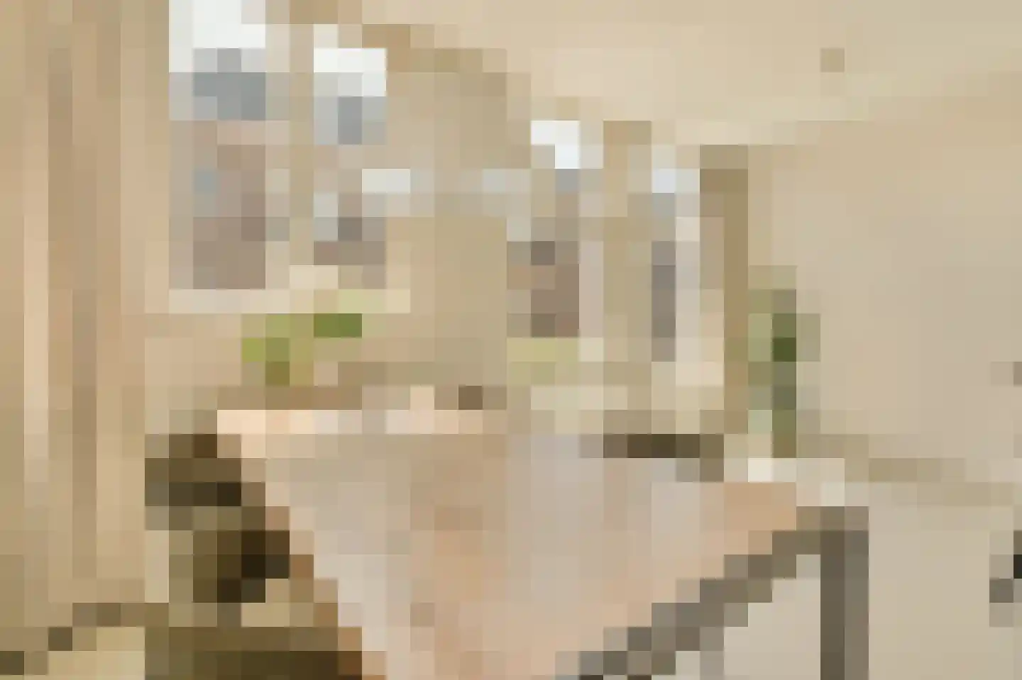 Balistraat 119 B Amsterdam thumbnail 18