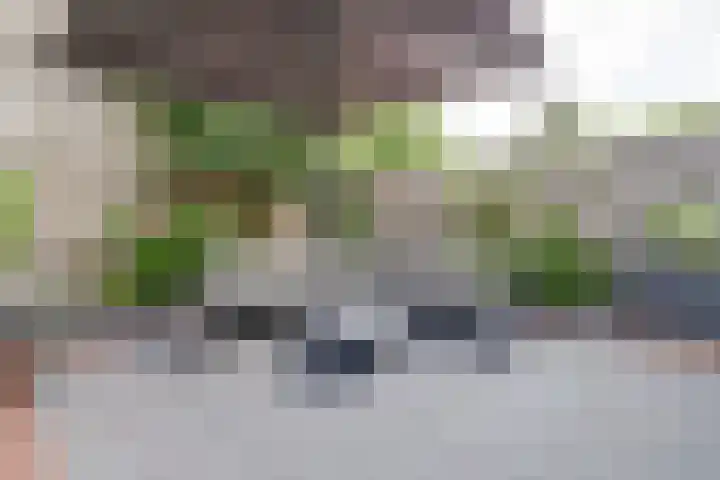 Balistraat 12 Baarn thumbnail 32
