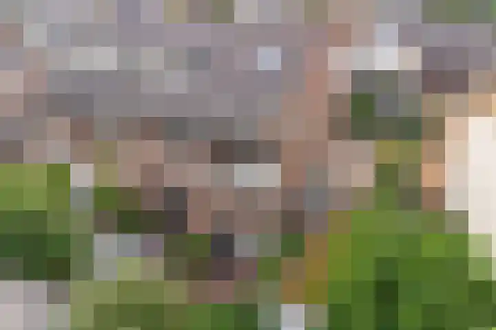 Balistraat 12 Baarn thumbnail 36