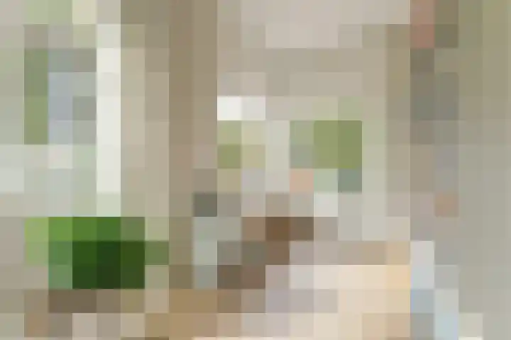 Balistraat 12 Baarn thumbnail 6