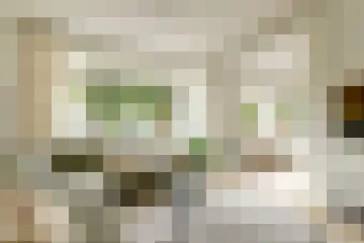 Balistraat 12 Baarn thumbnail 7