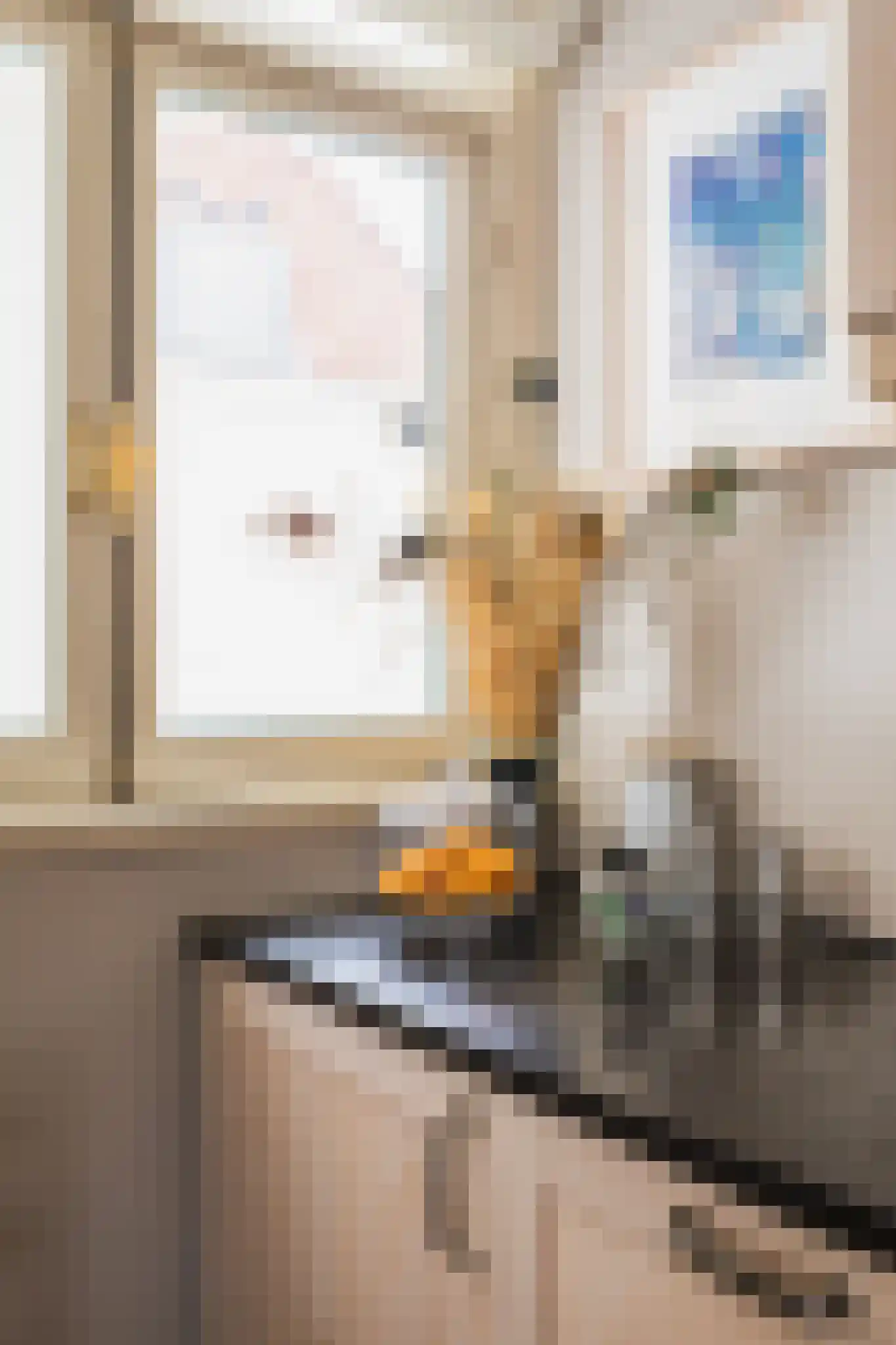 Balistraat 125 Den Haag thumbnail 17