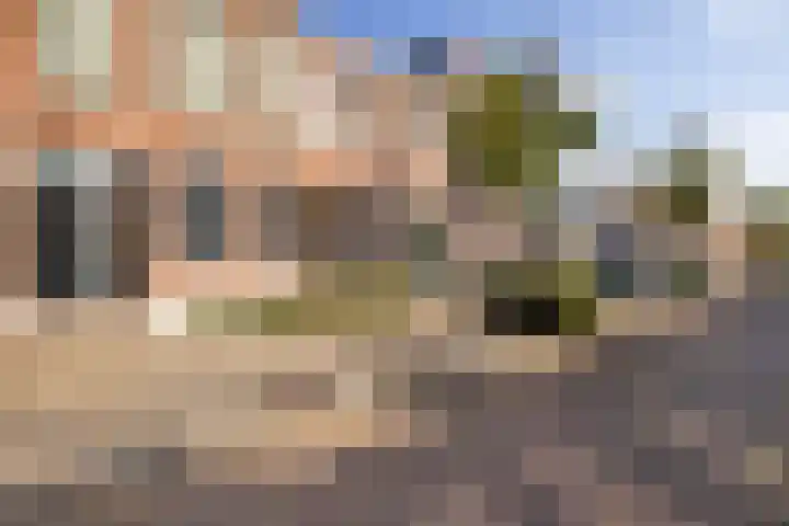 Balistraat 17 Dordrecht thumbnail 7