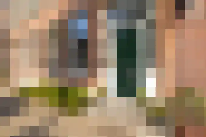 Balistraat 17 Dordrecht thumbnail 9