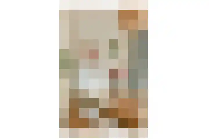Balistraat 25 1 Amsterdam thumbnail 6