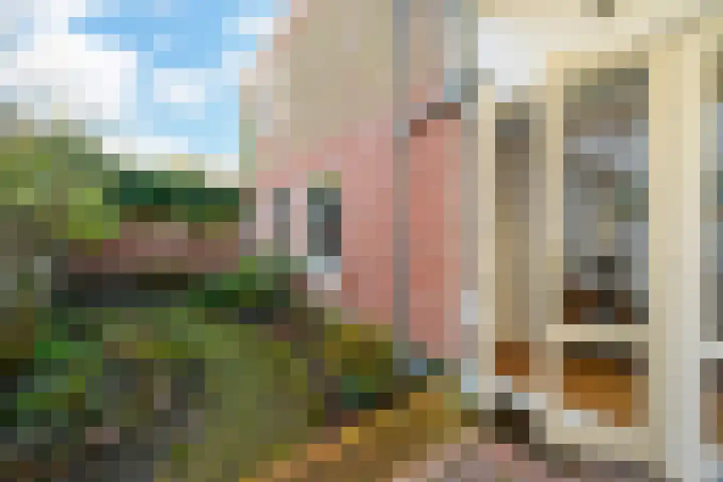 Balistraat 29 Den Haag thumbnail 26