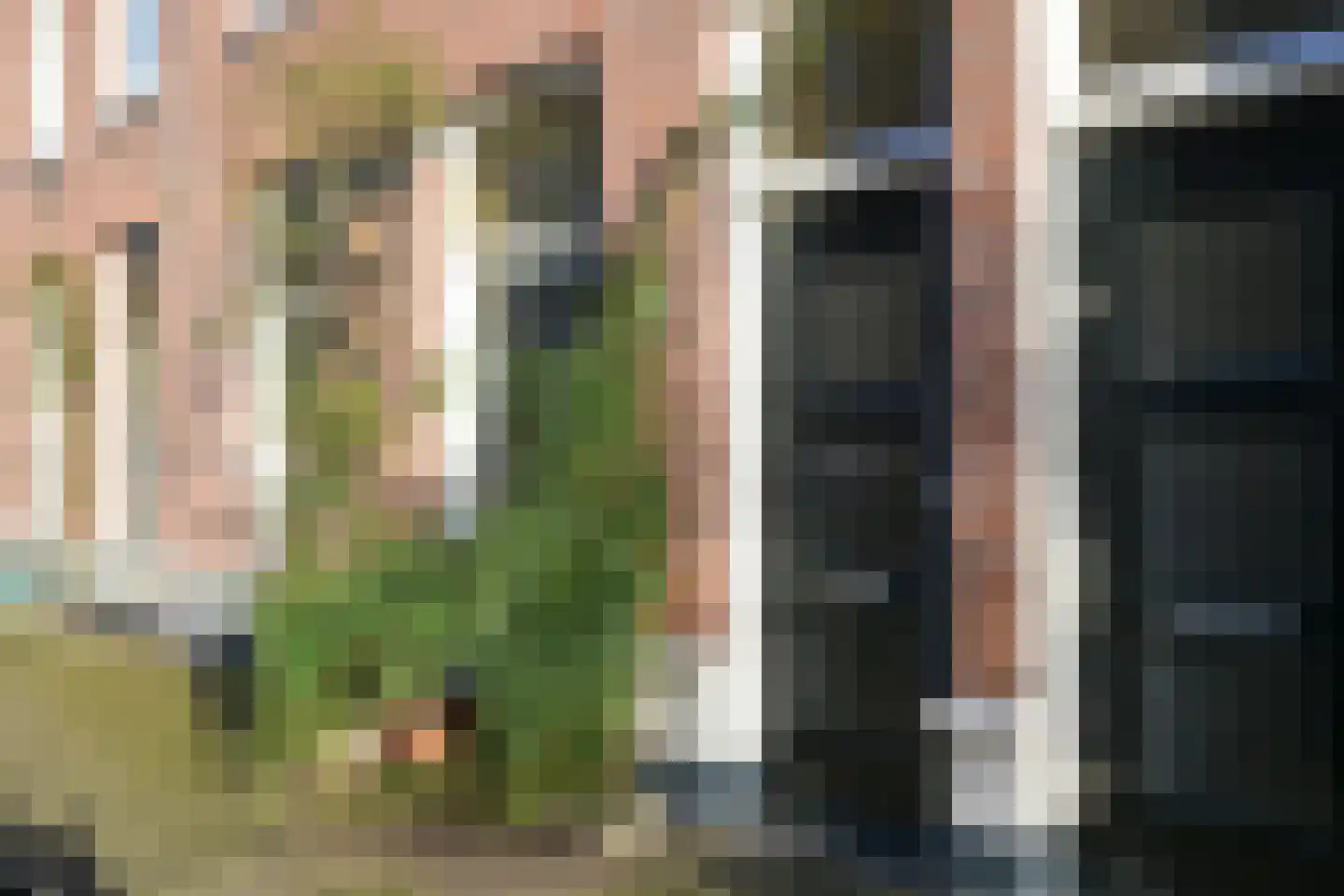 Balistraat 29 Den Haag thumbnail 6