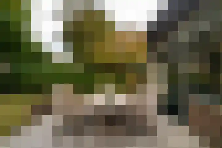 Balistraat 31 Amersfoort thumbnail 56