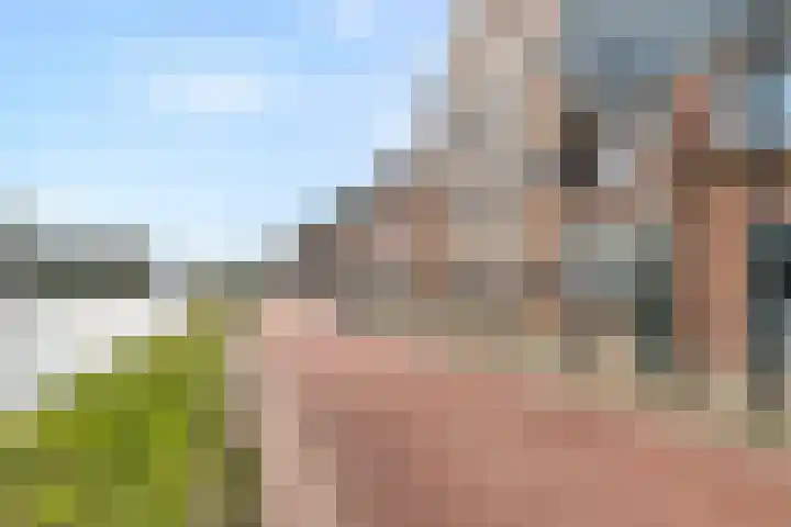 Balistraat 37 in Den Haag