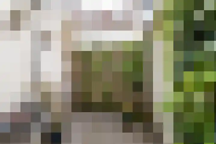 Balistraat 37 Utrecht thumbnail 9
