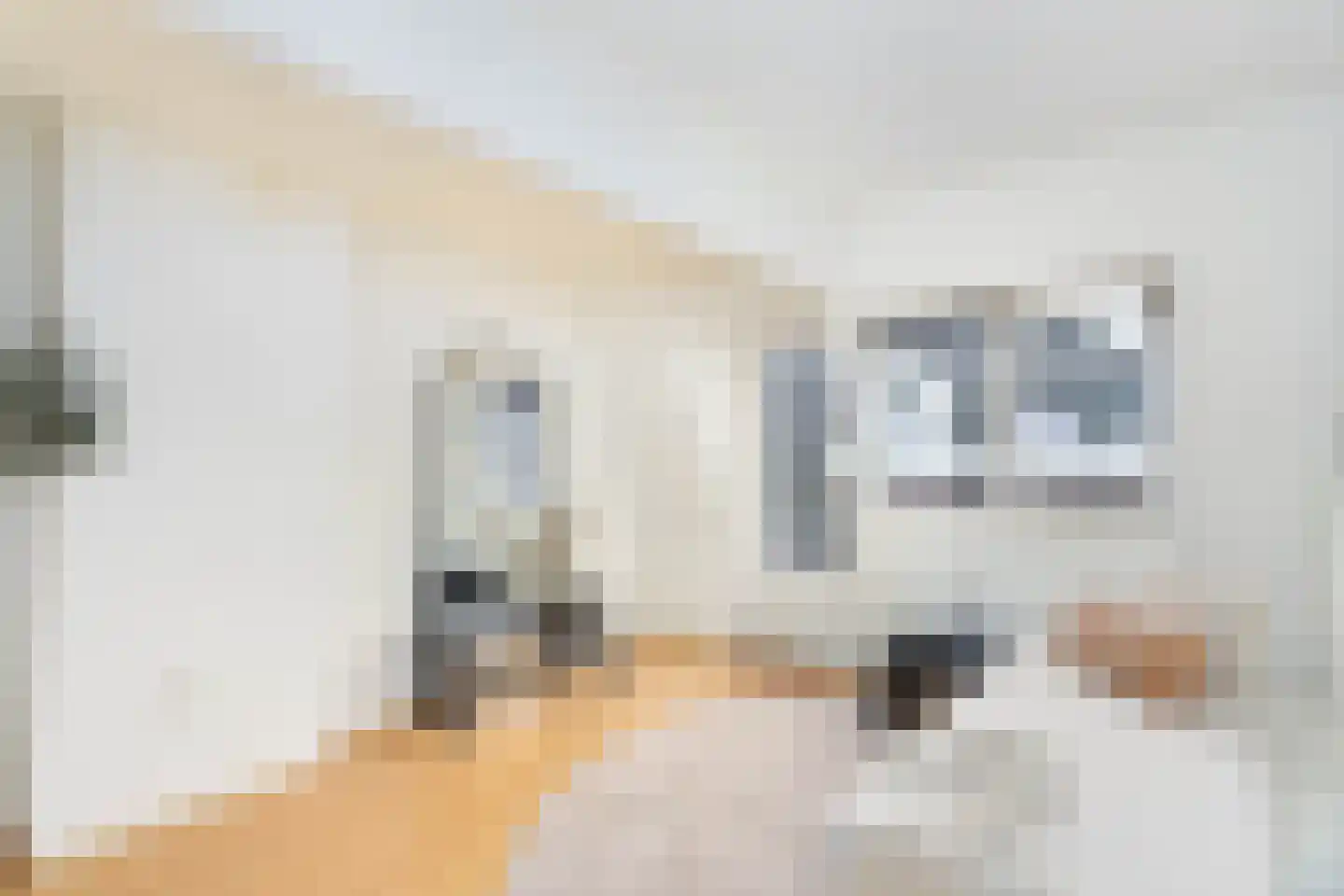 Balistraat 4 BS Utrecht thumbnail 15