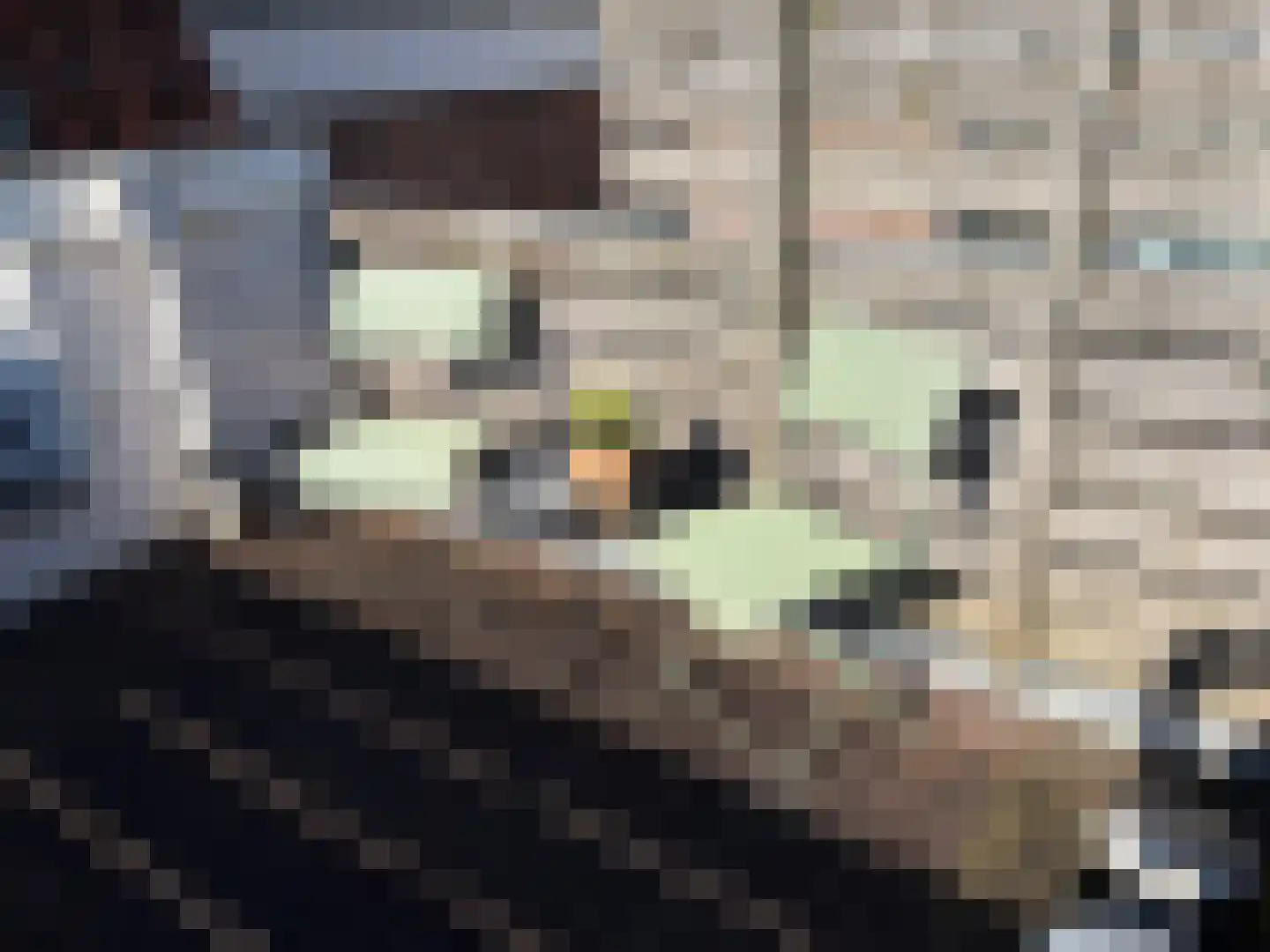 Balistraat 4 BS Utrecht thumbnail 18