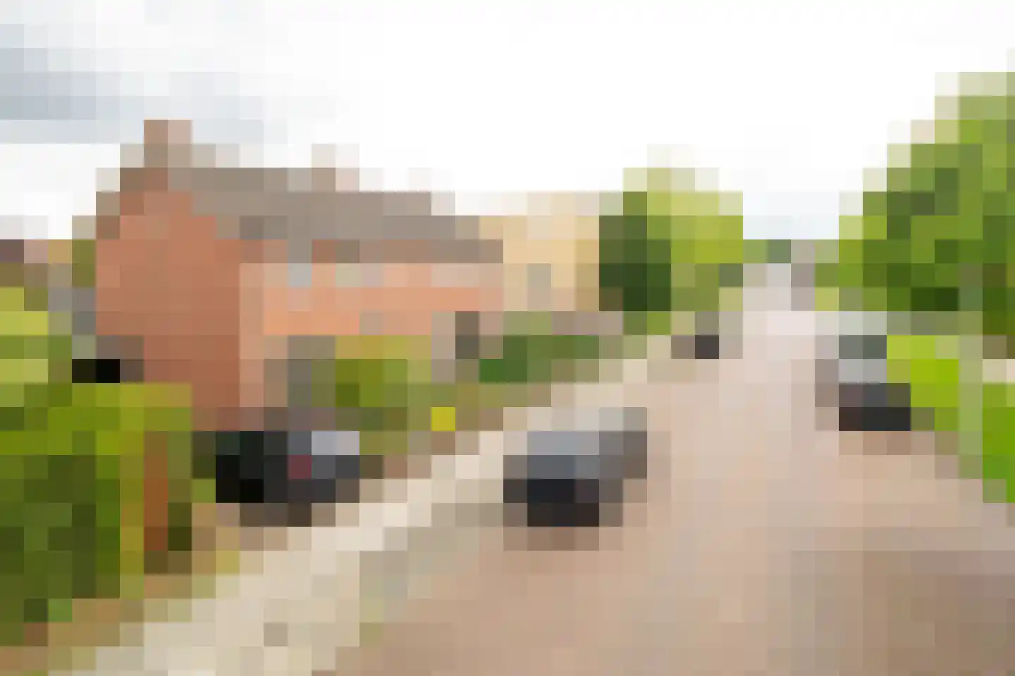 Balistraat 4 Hengelo thumbnail 37