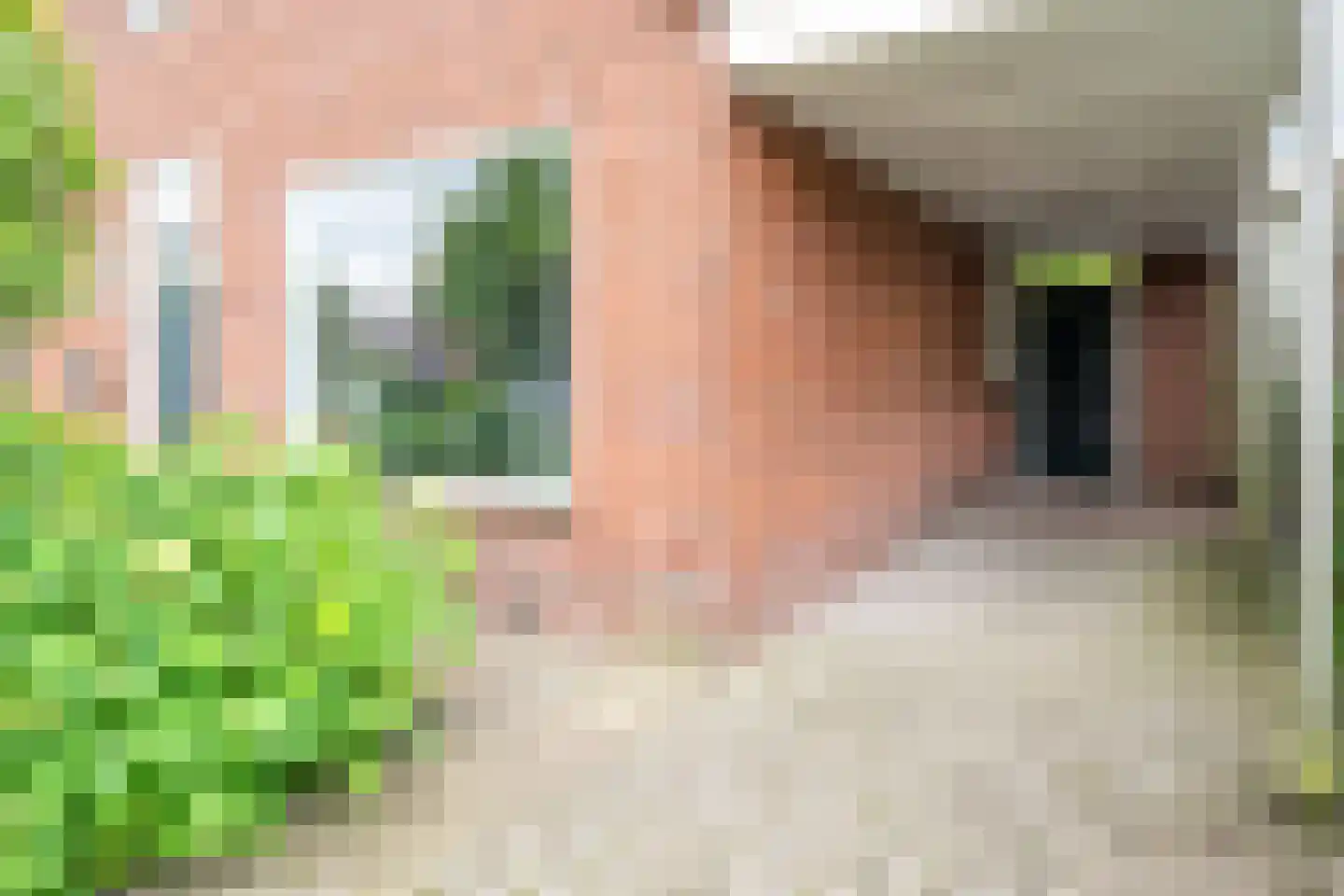 Balistraat 4 Hengelo thumbnail 4