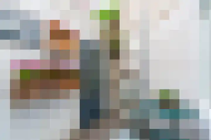 Balistraat 4 Utrecht thumbnail 17
