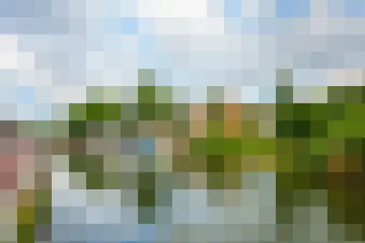 Balistraat 4 Utrecht thumbnail 36