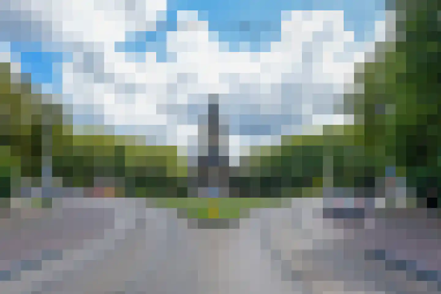 Balistraat 47 D 2 Den Haag thumbnail 38