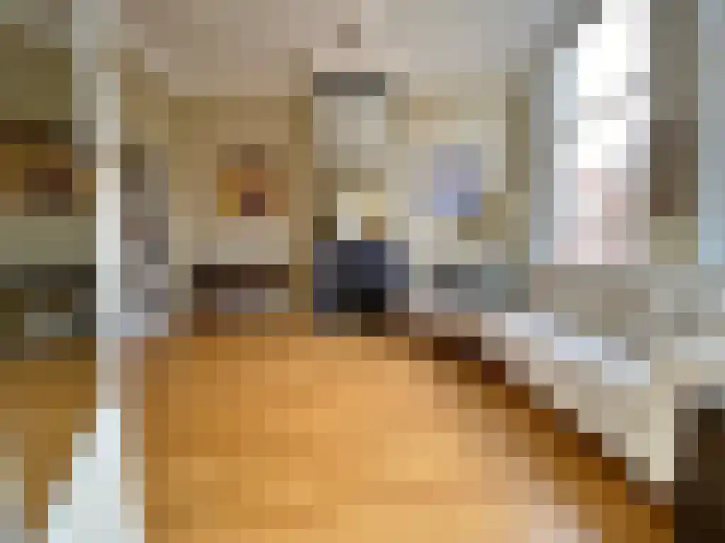 Balistraat 47 Den Haag thumbnail 6