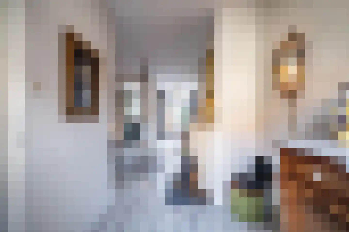 Balistraat 49 Leiden thumbnail 4