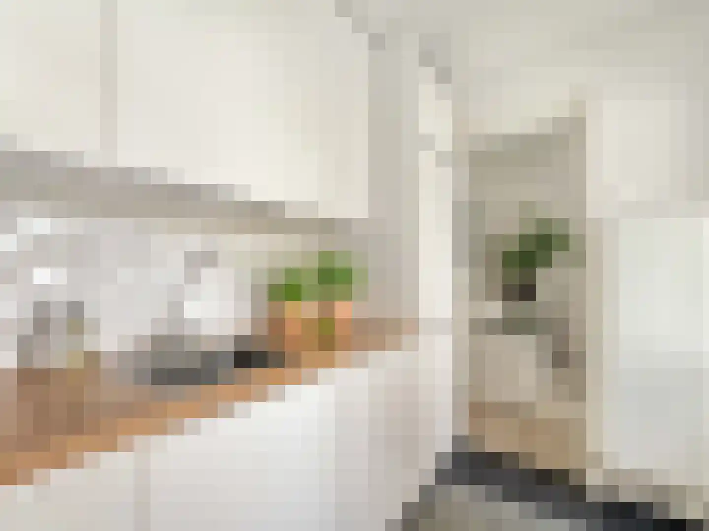 Balistraat 50 Utrecht thumbnail 17