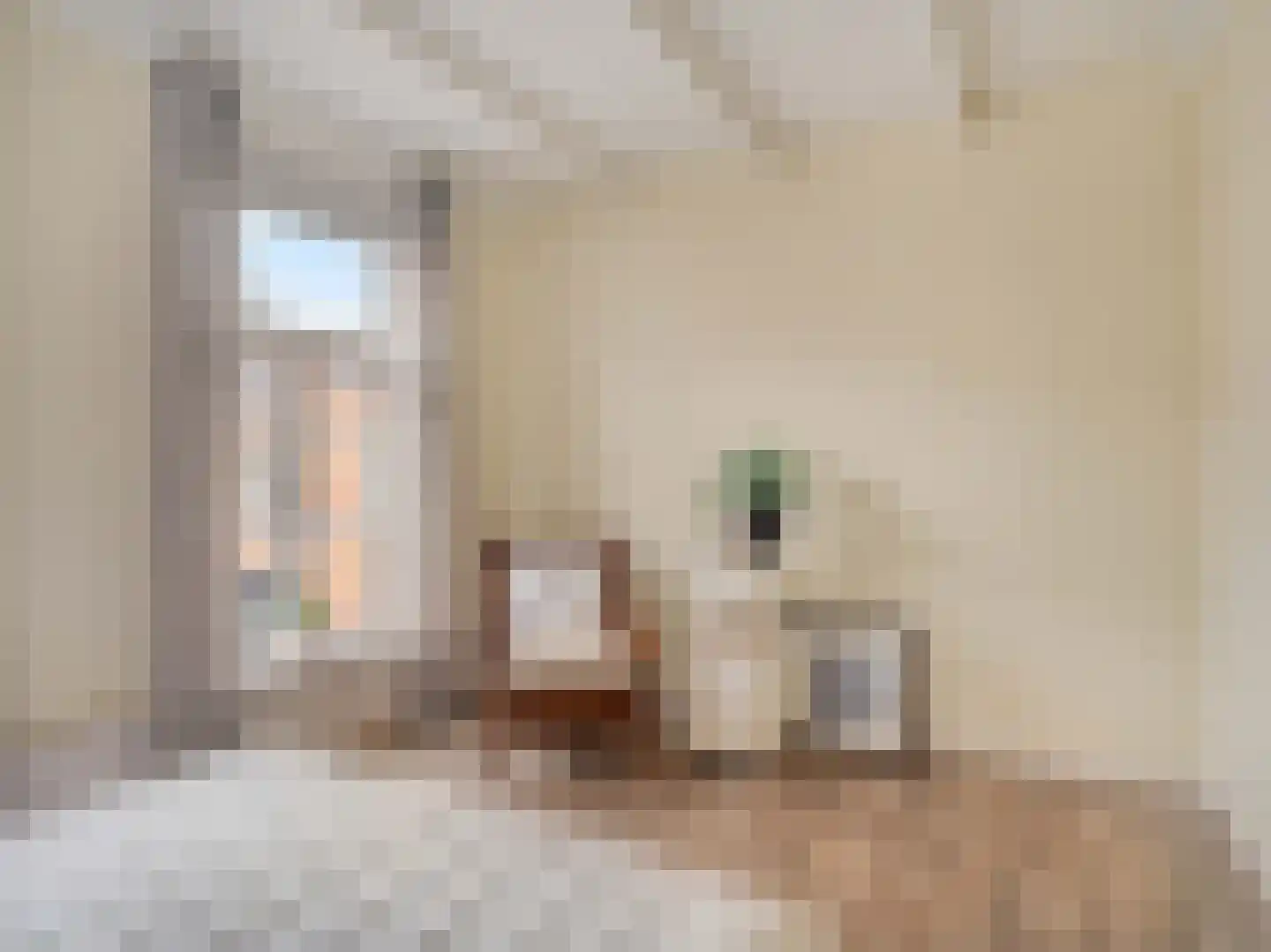 Balistraat 50 Utrecht thumbnail 24