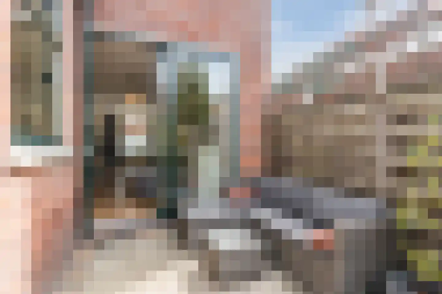 Balistraat 54 Leiden thumbnail 34