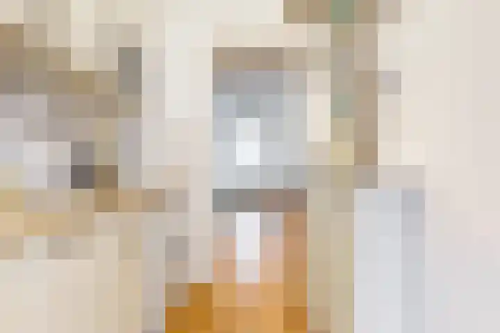 Balistraat 6 Utrecht thumbnail 10
