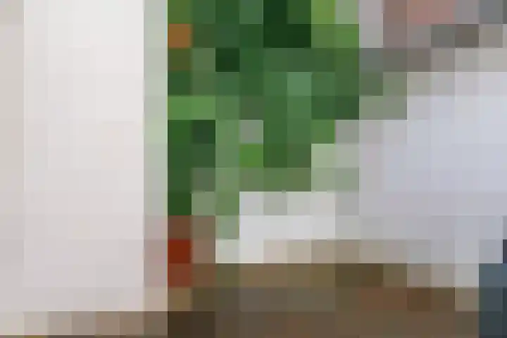 Balistraat 6 Utrecht thumbnail 17