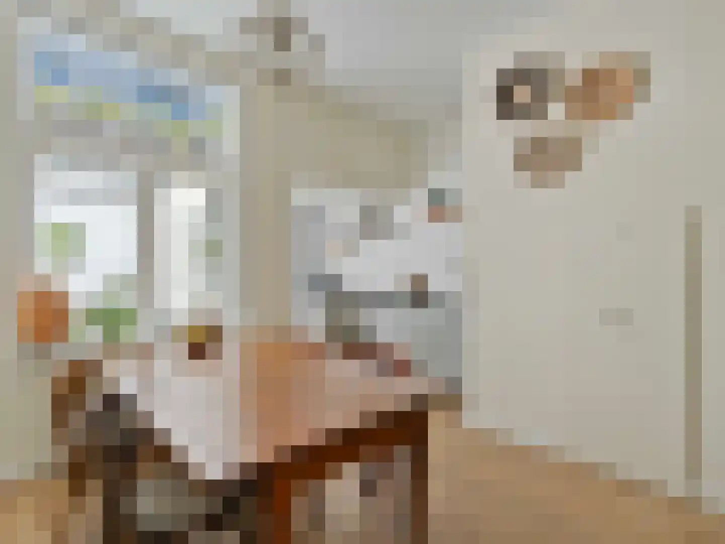 Balistraat 60 Utrecht thumbnail 10