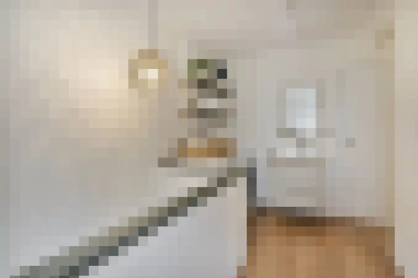 Balistraat 60 Utrecht thumbnail 24