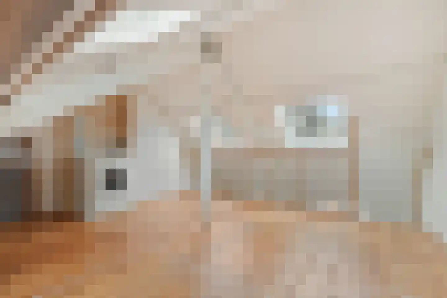 Balistraat 62 A Utrecht thumbnail 17