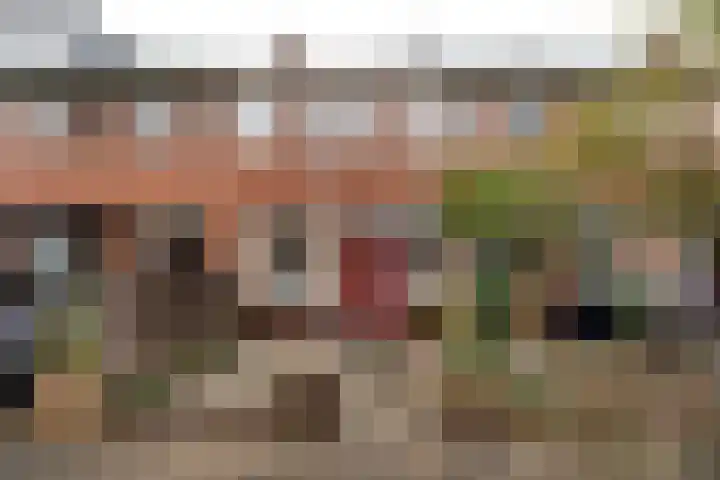Balistraat 65 Leiden thumbnail 18