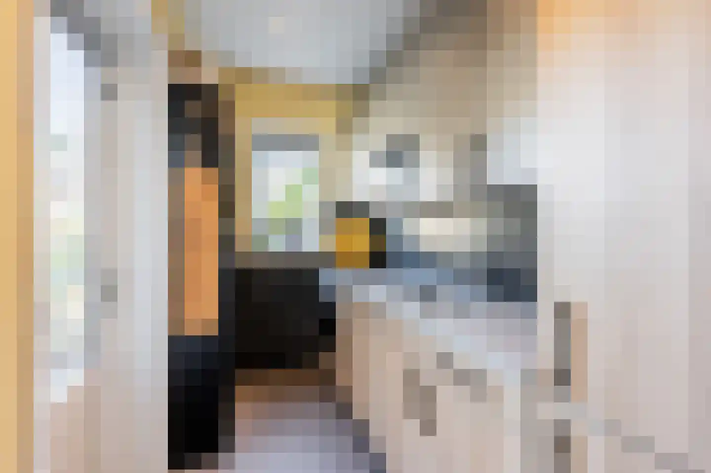 Balistraat 69 Leiden thumbnail 4