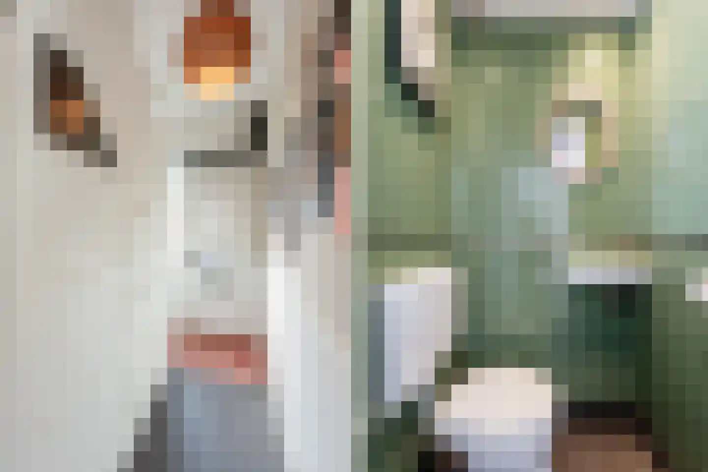 Balistraat 69 Leiden thumbnail 9