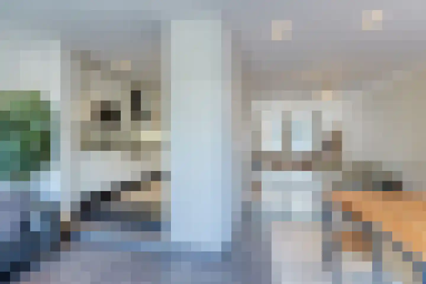 Balistraat 76 Den Haag thumbnail 8