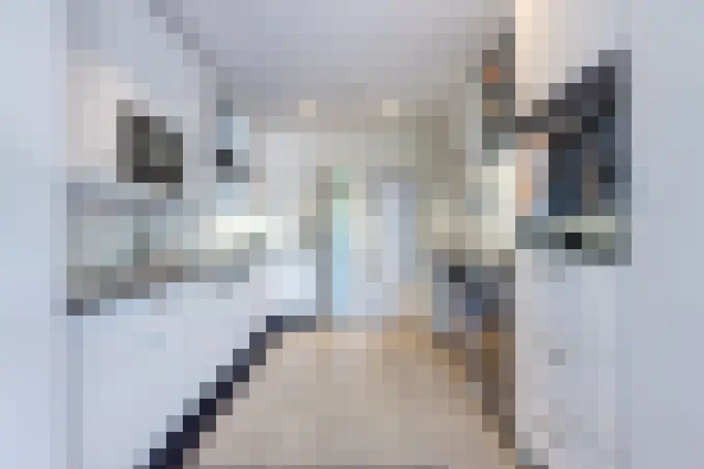 Balistraat 76 Den Haag thumbnail 9